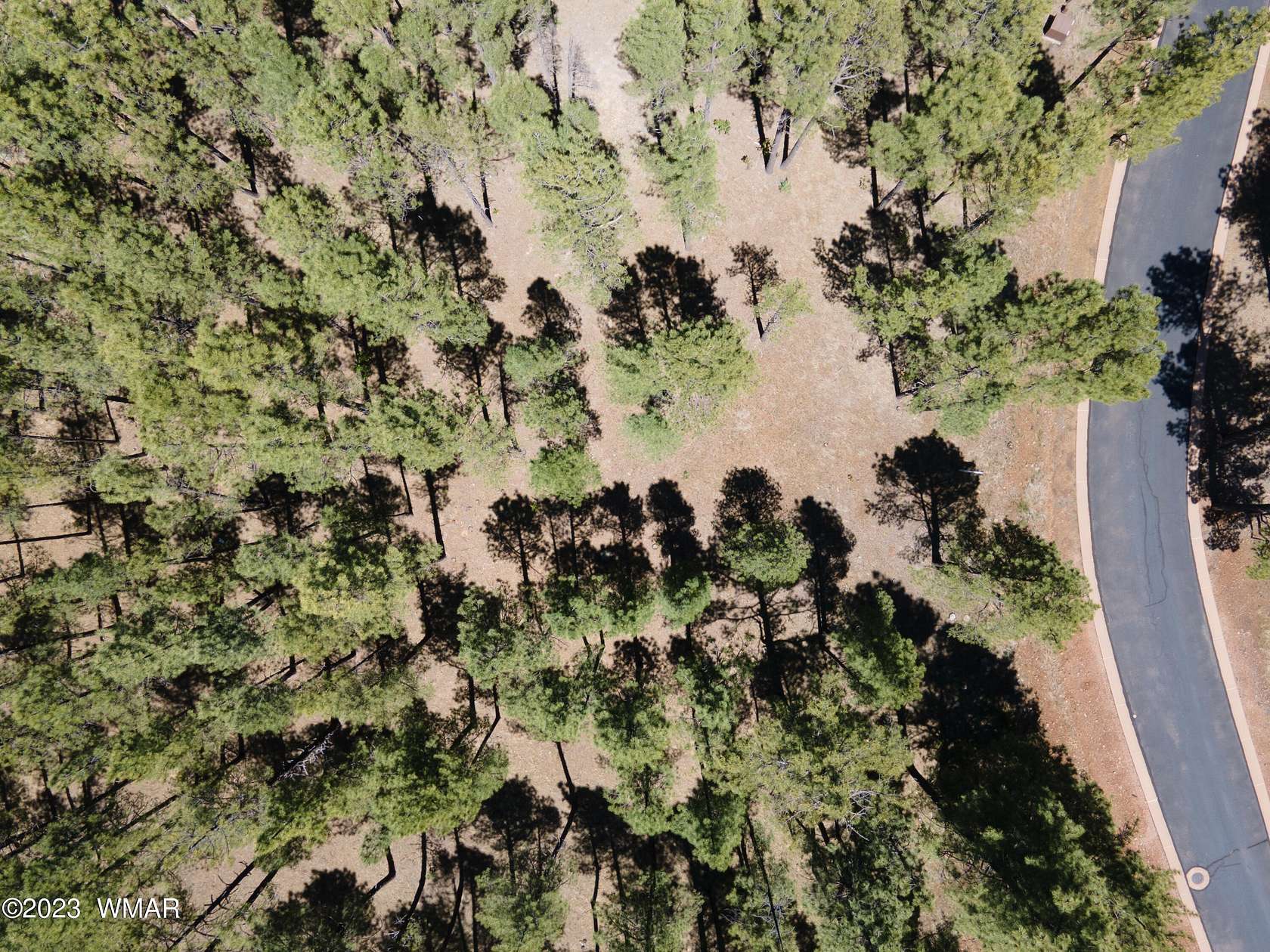 1.1 Acres of Residential Land for Sale in Pinetop, Arizona