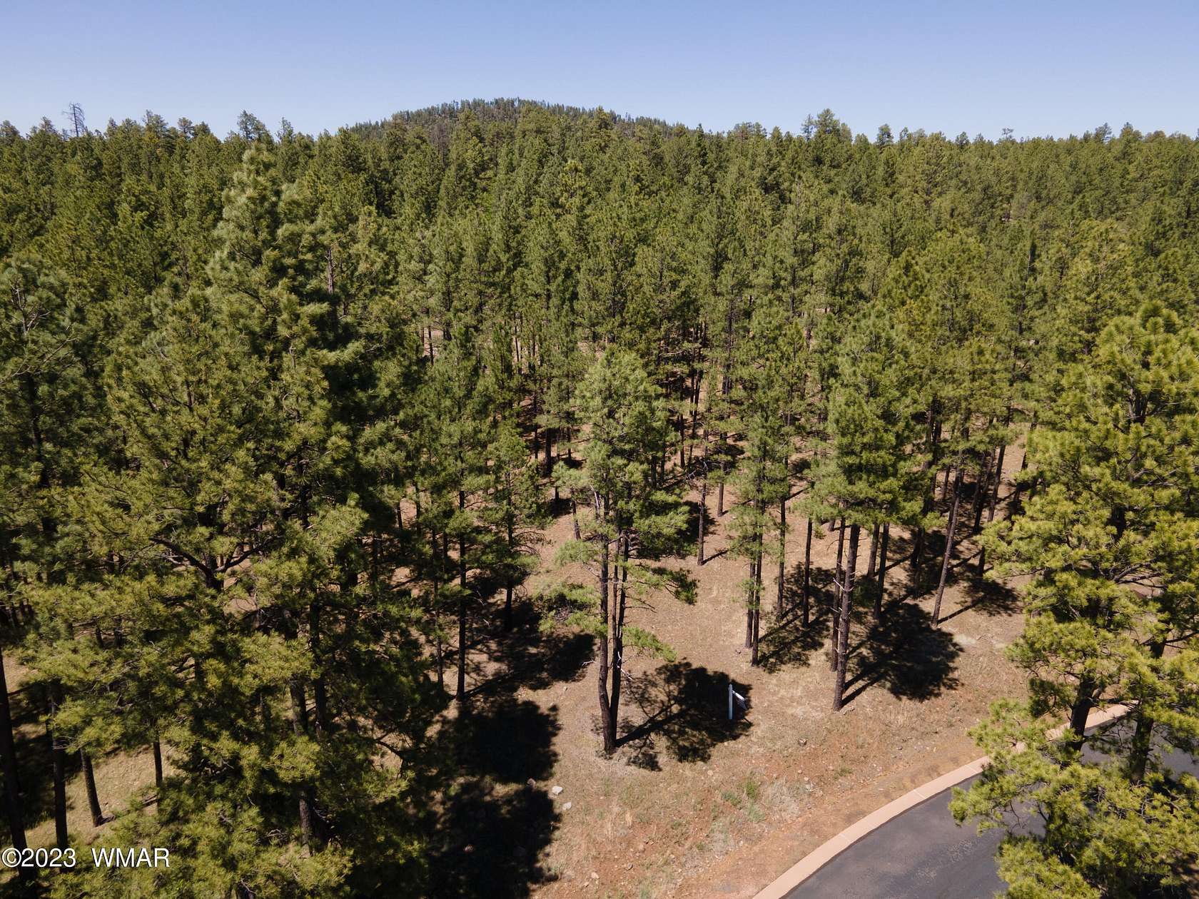 1.1 Acres of Residential Land for Sale in Pinetop, Arizona