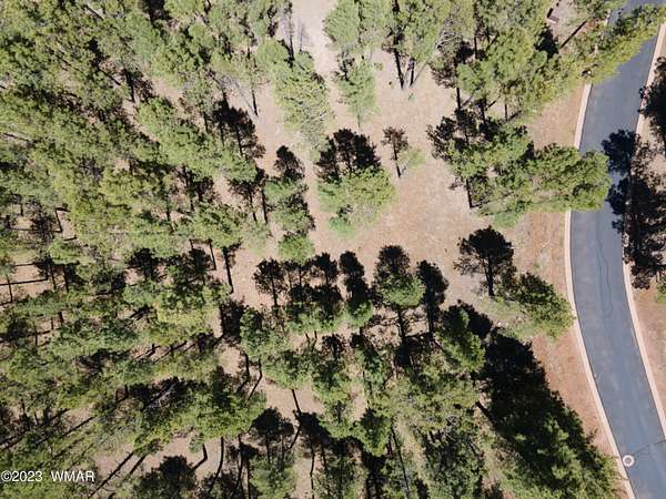 1.1 Acres of Residential Land for Sale in Pinetop, Arizona