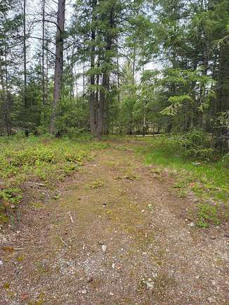 0.28 Acres of Residential Land for Sale in Newport, Washington