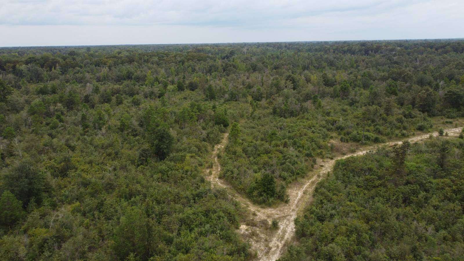 290 Acres of Recreational Land & Farm for Sale in Merryville, Louisiana