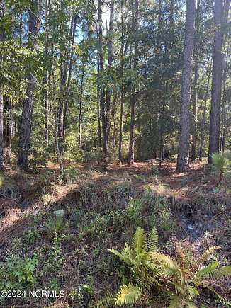 0.36 Acres of Residential Land for Sale in Boiling Spring Lakes, North Carolina