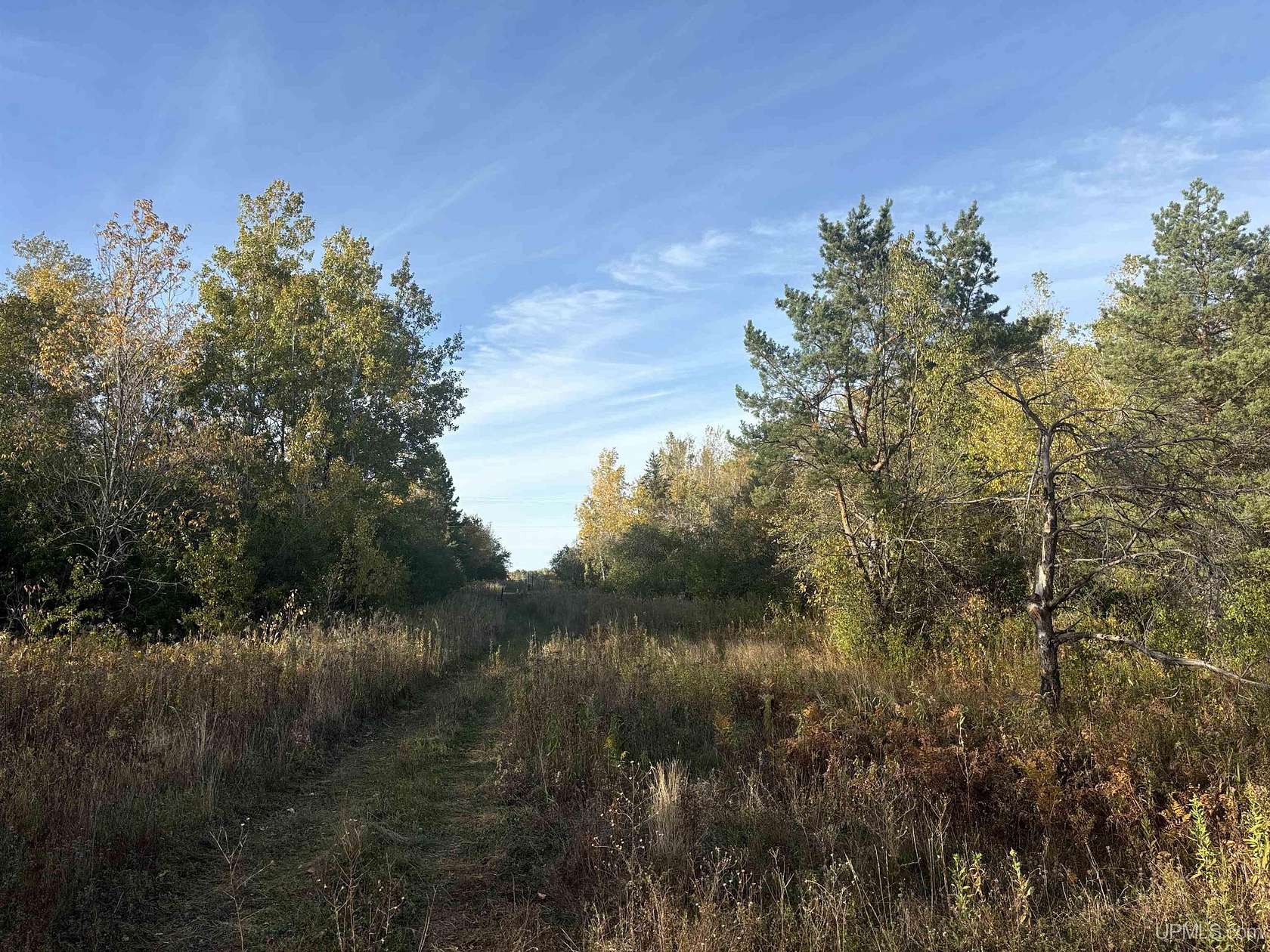 12 Acres of Land for Sale in Ironwood, Michigan