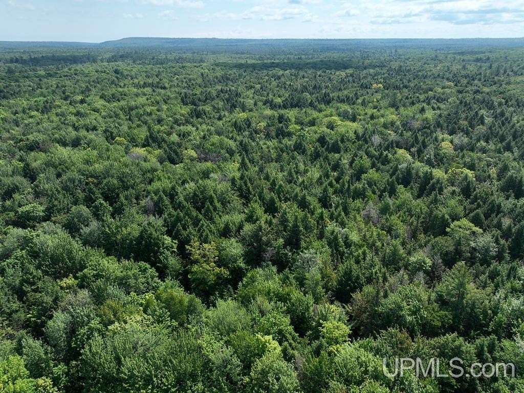 120 Acres of Recreational Land for Sale in Au Train, Michigan