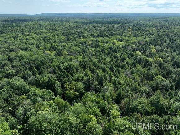 120 Acres of Recreational Land for Sale in Au Train, Michigan