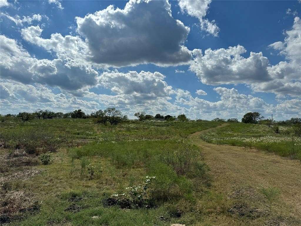 30 Acres of Agricultural Land for Sale in Kemp, Texas