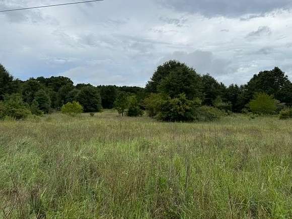 44.26 Acres of Land for Sale in Midland City, Alabama