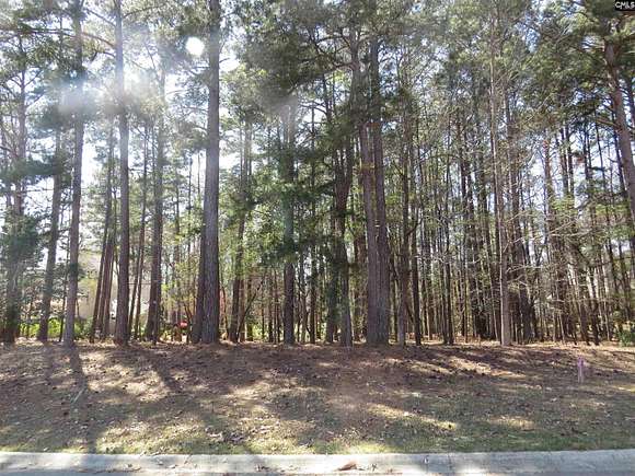 0.77 Acres of Residential Land for Sale in Elgin, South Carolina