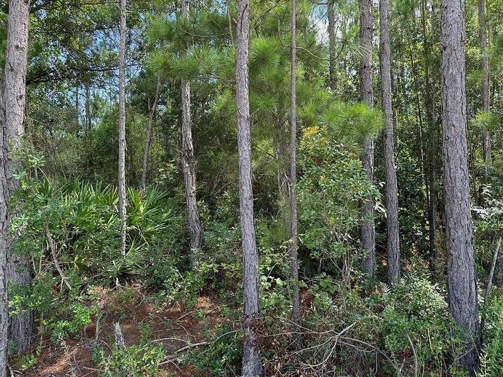 1.88 Acres of Land for Sale in Baxley, Georgia