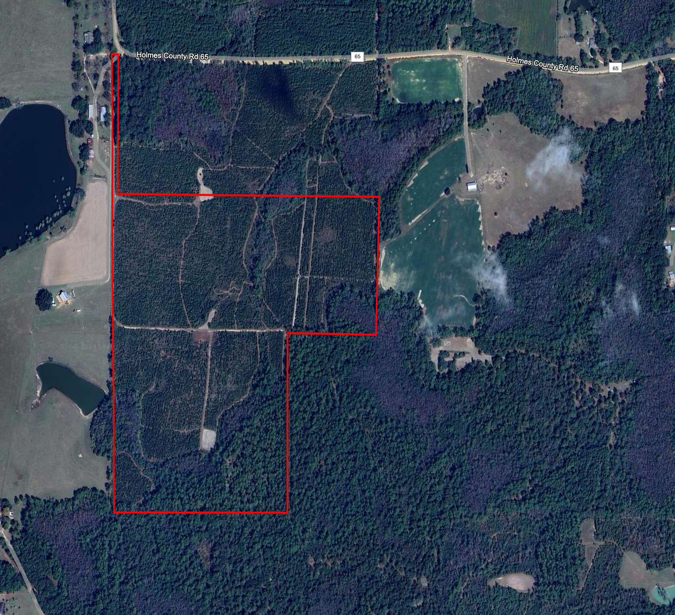 86.77 Acres of Recreational Land & Farm for Sale in Bonifay, Florida