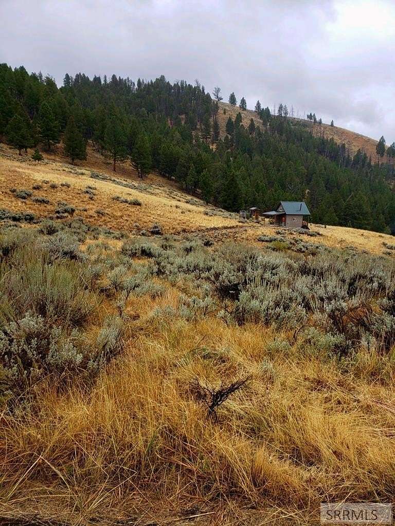 5 Acres of Residential Land with Home for Sale in Shoup, Idaho