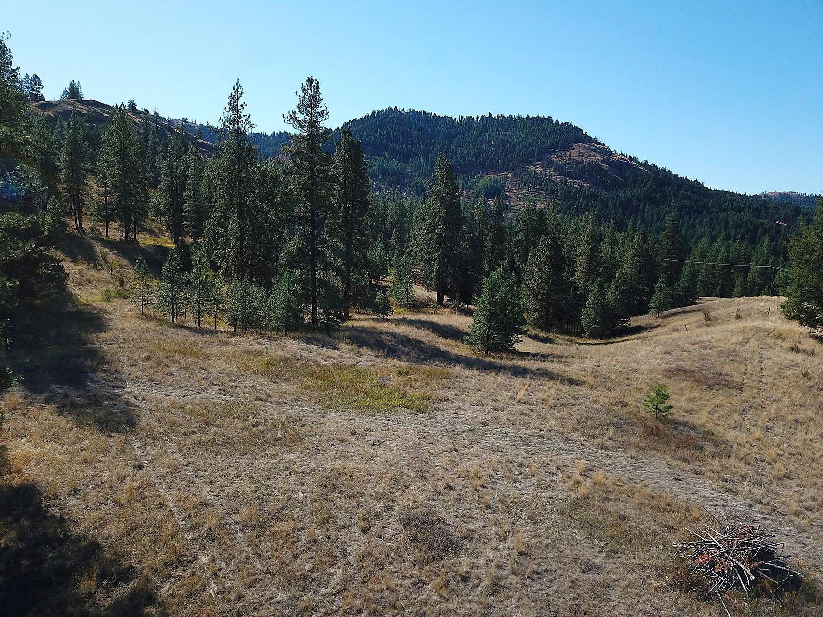 40 Acres of Recreational Land for Sale in Malo, Washington