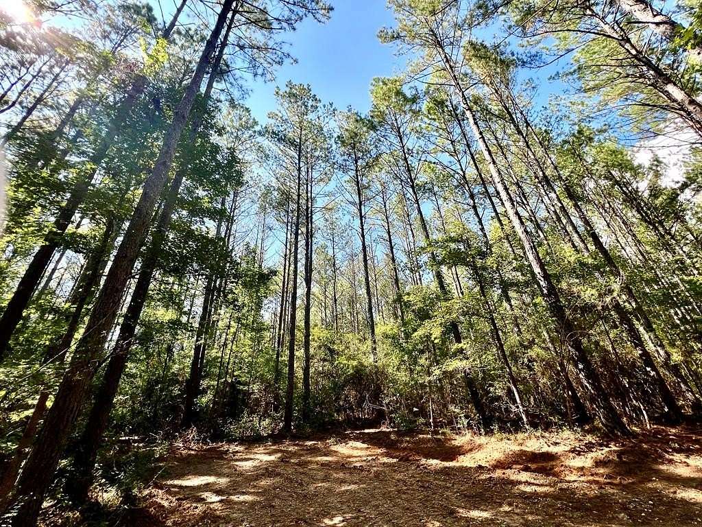 10 Acres of Residential Land for Sale in Gloster, Mississippi