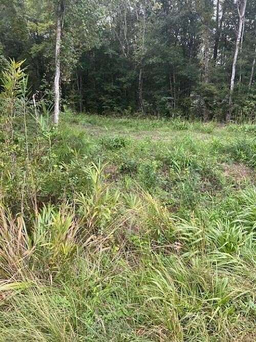 5.65 Acres of Residential Land for Sale in Awendaw, South Carolina