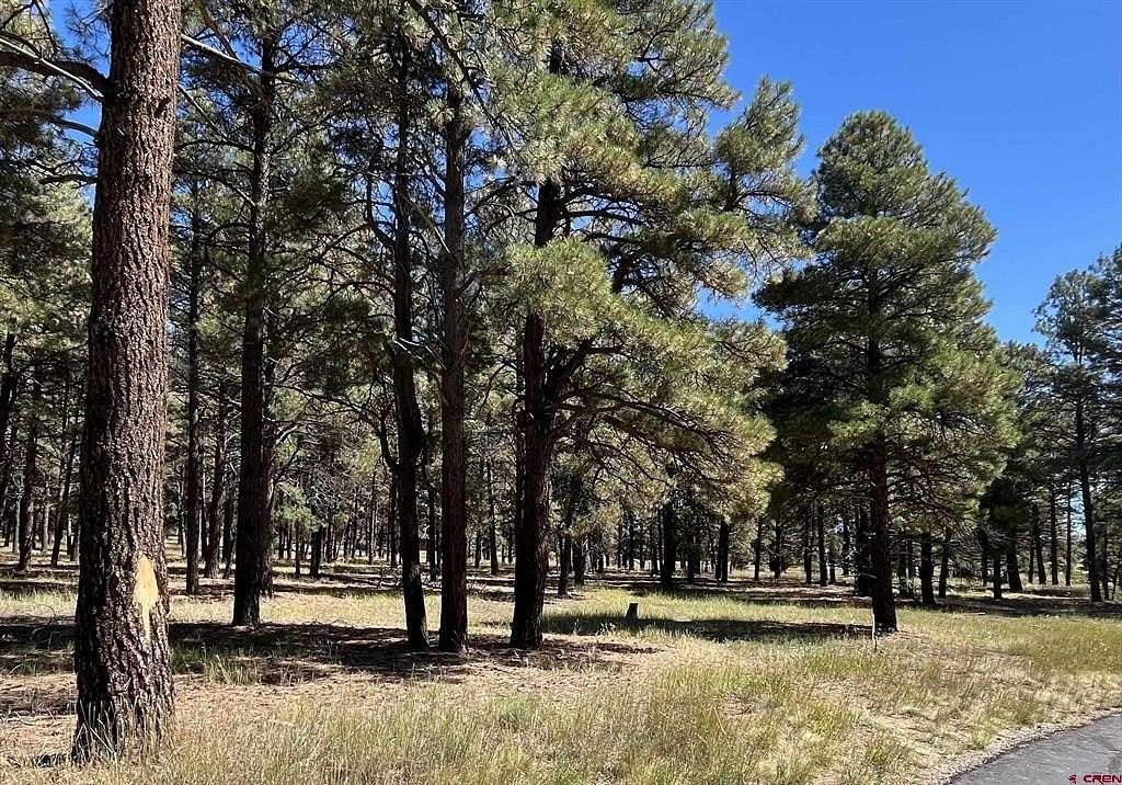 1.4 Acres of Residential Land for Sale in Pagosa Springs, Colorado