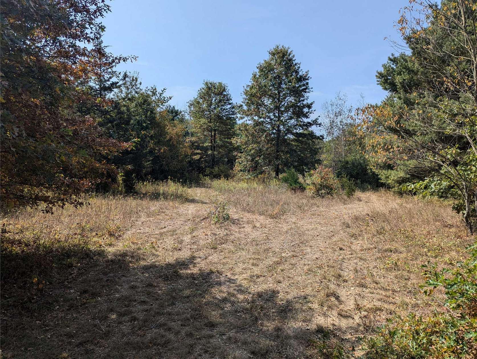 40.5 Acres of Recreational Land for Sale in Fennville, Michigan