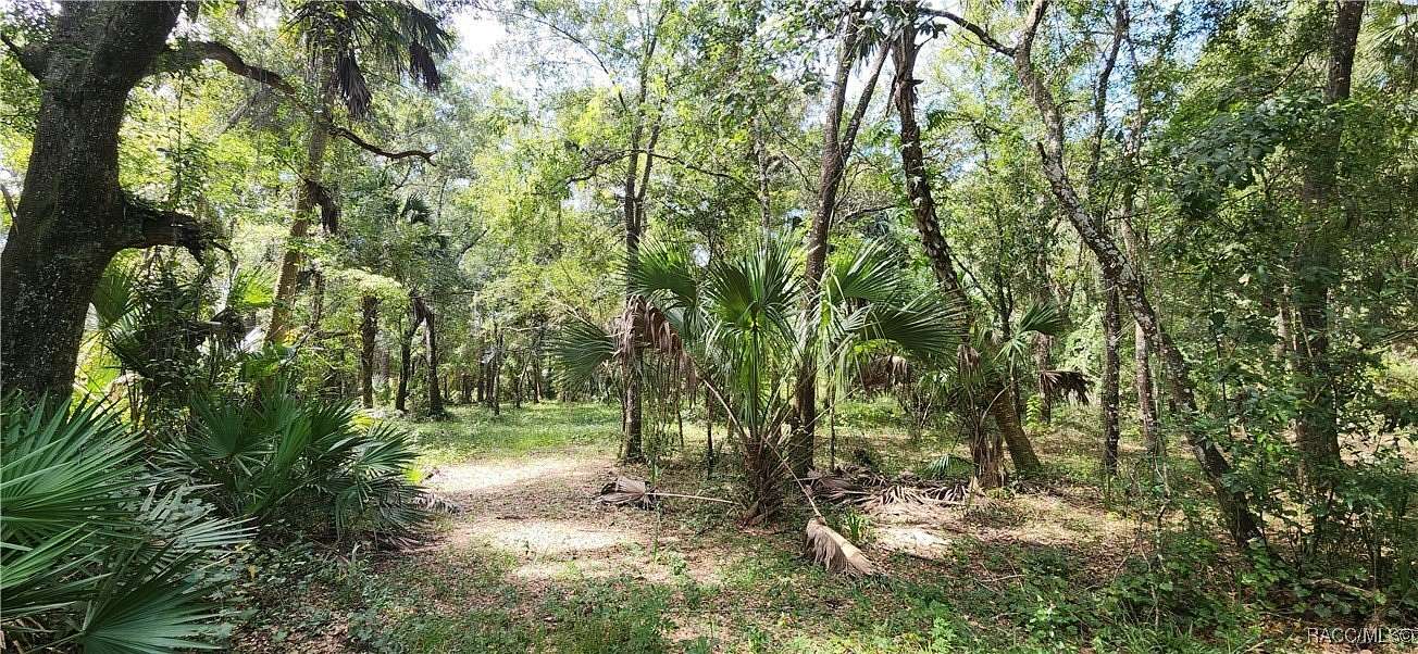 2.23 Acres of Residential Land for Sale in Hernando, Florida