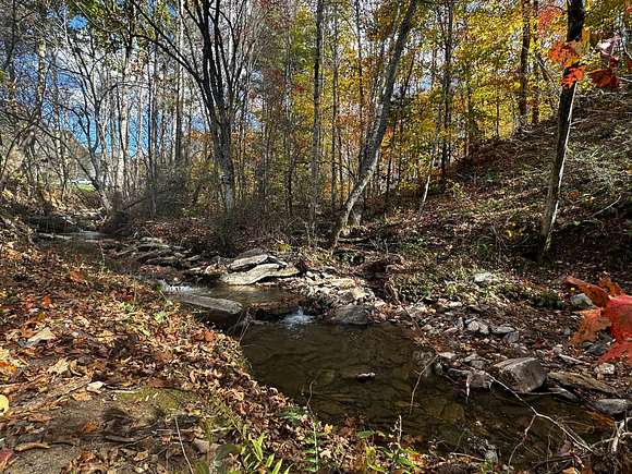 19.5 Acres of Recreational Land for Sale in Barnardsville, North Carolina