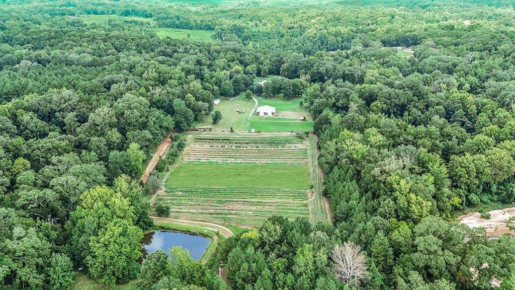 1,115 Acres of Land with Home for Sale in Woodville, Mississippi