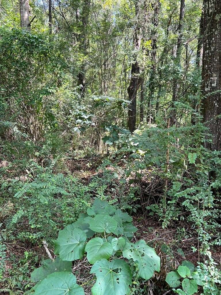 14.95 Acres of Land for Sale in Carriere, Mississippi