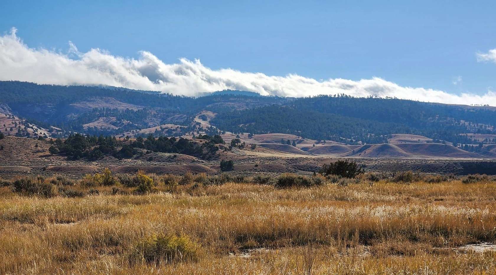 35.07 Acres of Recreational Land for Sale in Newcastle, Wyoming