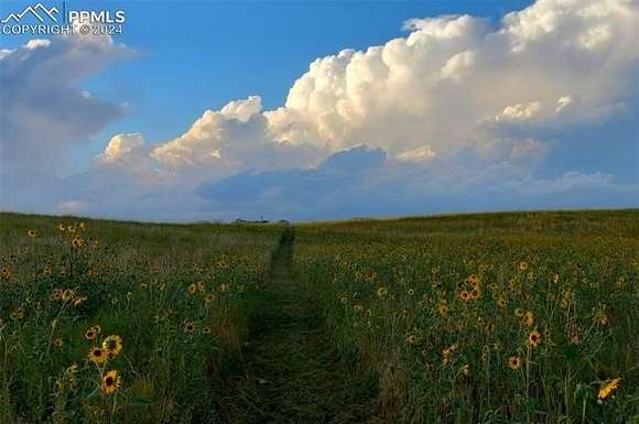 20 Acres of Recreational Land for Sale in Calhan, Colorado