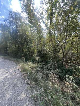 40 Acres of Recreational Land for Sale in Niangua, Missouri