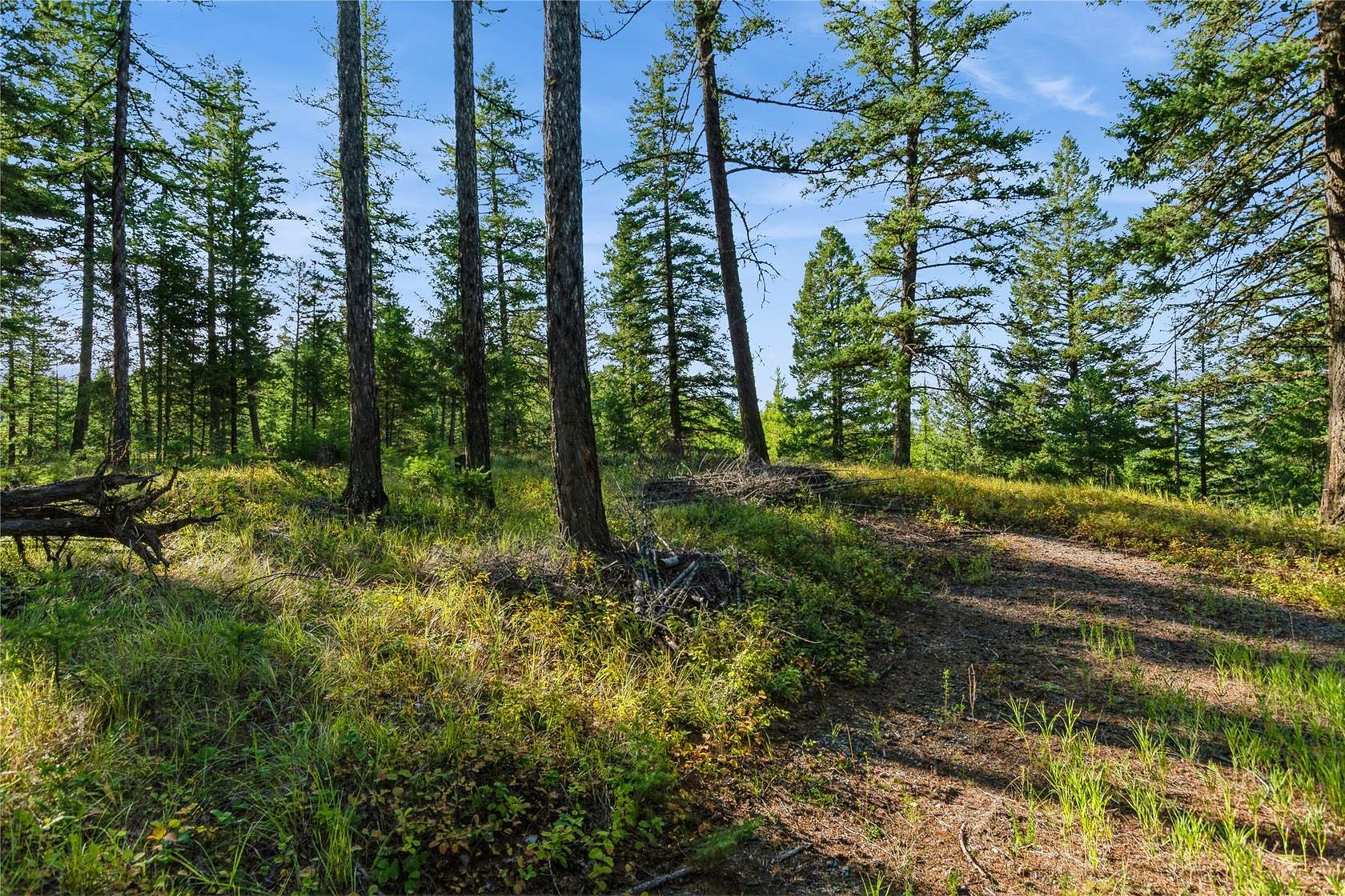 3.79 Acres of Residential Land for Sale in Whitefish, Montana