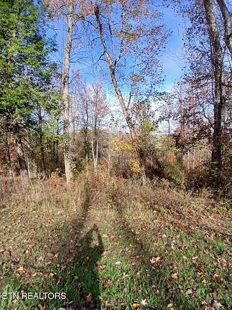 1.8 Acres of Residential Land for Sale in Rockwood, Tennessee