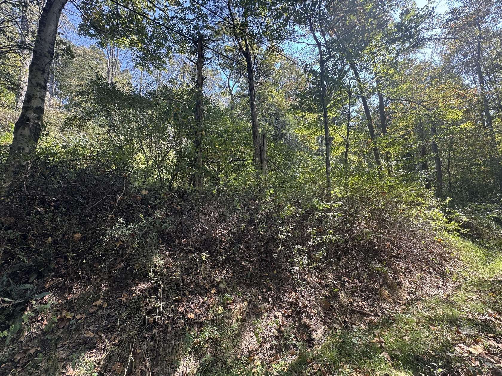 1 Acre of Land for Sale in Farmington, West Virginia