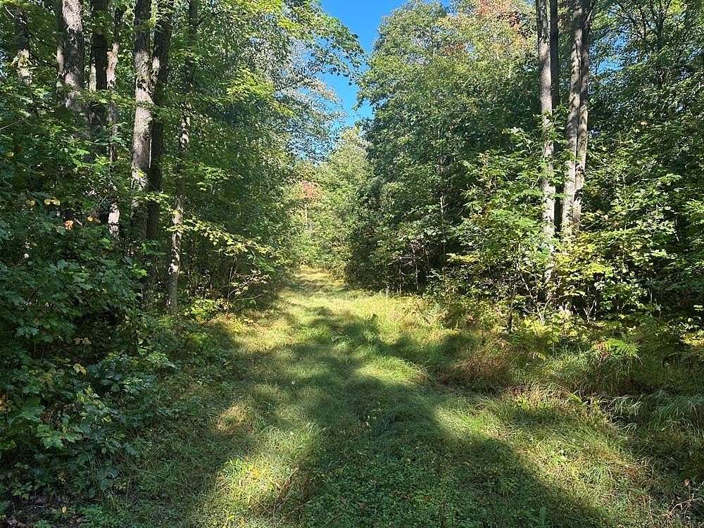 10.1 Acres of Recreational Land for Sale in Harrison, Michigan