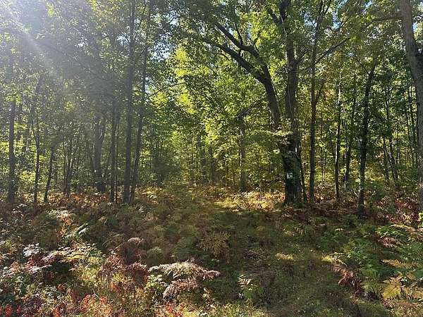 10.1 Acres of Recreational & Residential Land for Sale in Harrison, Michigan