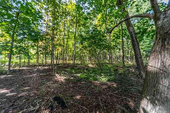 57.7 Acres of Recreational Land for Sale in Maybrook, New York