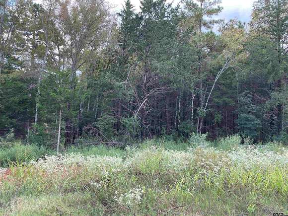 0.5 Acres of Residential Land for Sale in Lindale, Texas