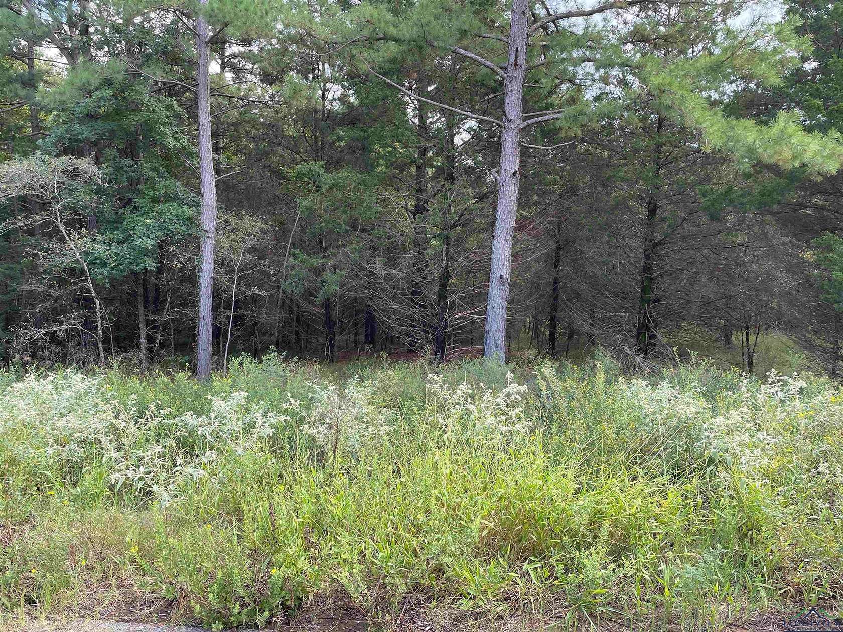 0.5 Acres of Residential Land for Sale in Lindale, Texas