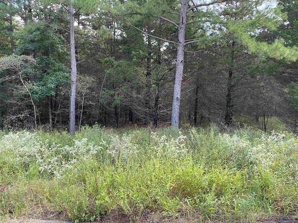 0.5 Acres of Residential Land for Sale in Lindale, Texas