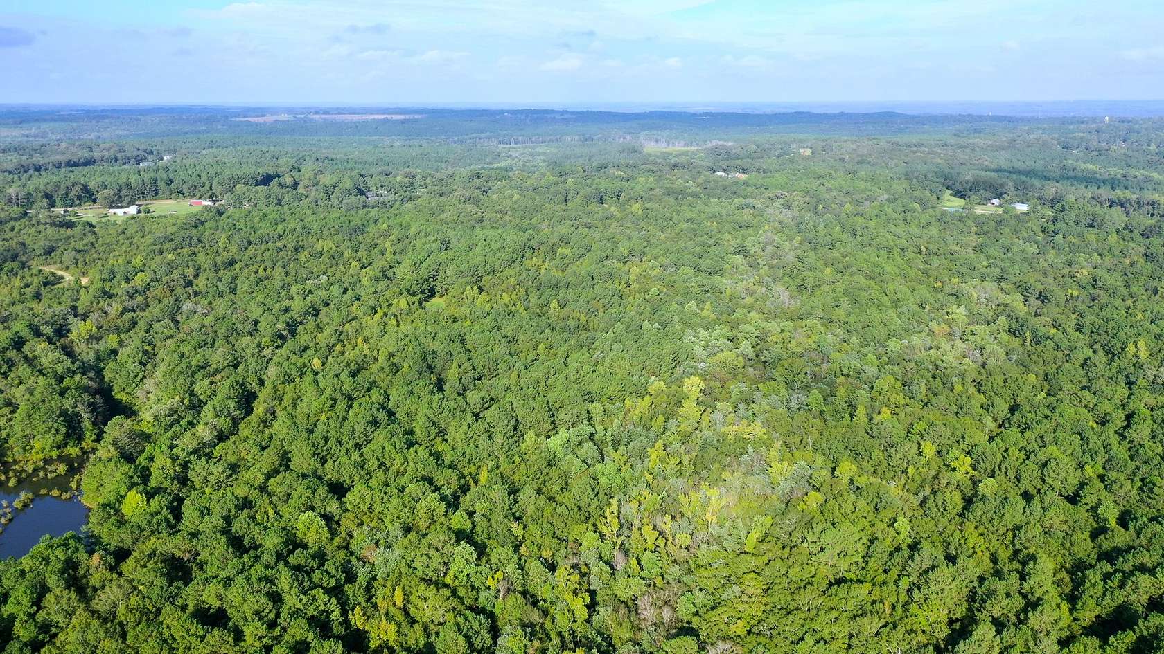 104 Acres of Land for Sale in Ariton, Alabama