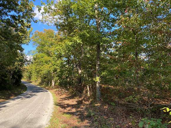 25 Acres of Land for Sale in Waynesboro, Tennessee