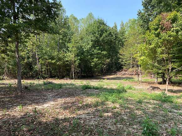 2 Acres of Residential Land for Sale in Morris Chapel, Tennessee