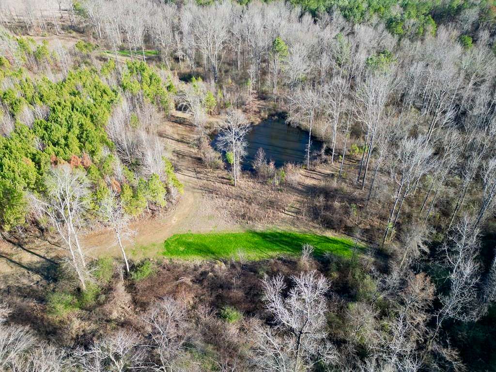 44 Acres of Land with Home for Sale in Fayette, Mississippi