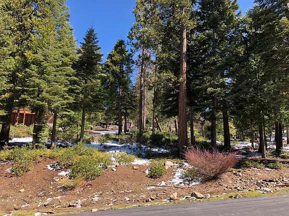 0.59 Acres of Residential Land for Sale in Shaver Lake, California