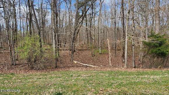 1.01 Acres of Residential Land for Sale in Rockwood, Tennessee