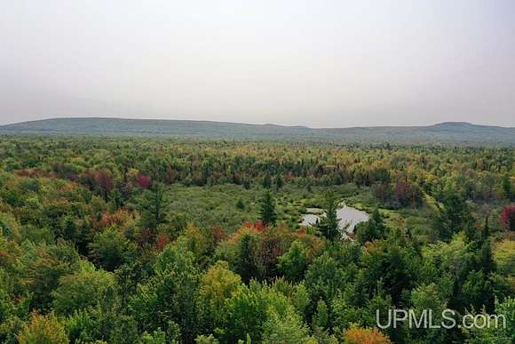 40 Acres of Recreational Land for Sale in White Pine, Michigan