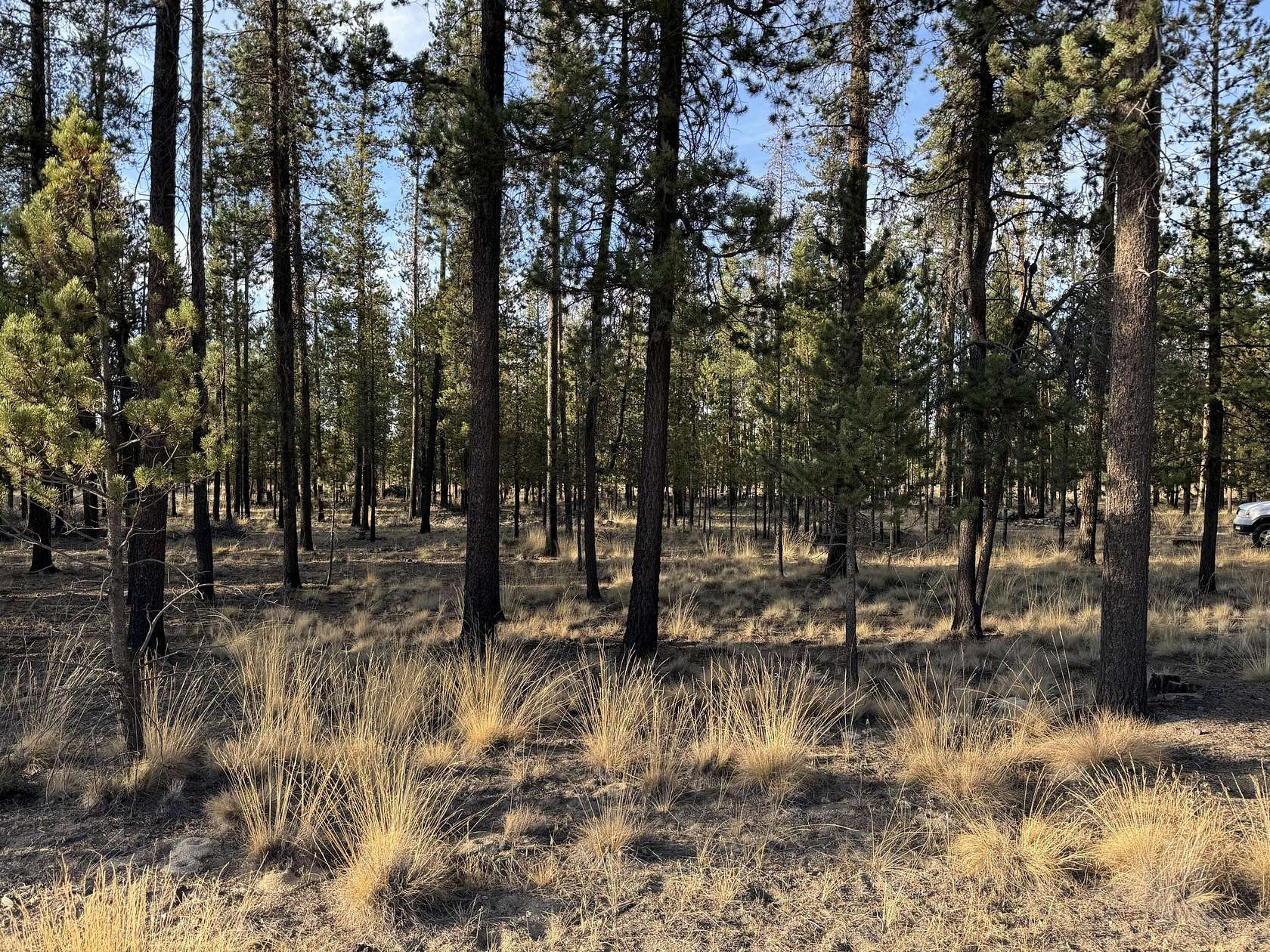 1.03 Acres of Residential Land for Sale in La Pine, Oregon