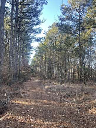 150.5 Acres of Recreational Land for Sale in Ripley, Mississippi