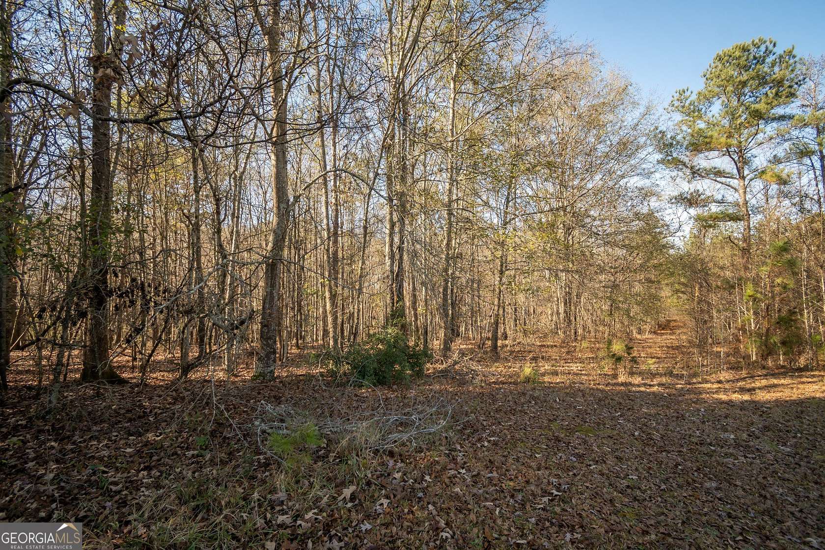 8 Acres of Residential Land for Sale in Jefferson, Georgia
