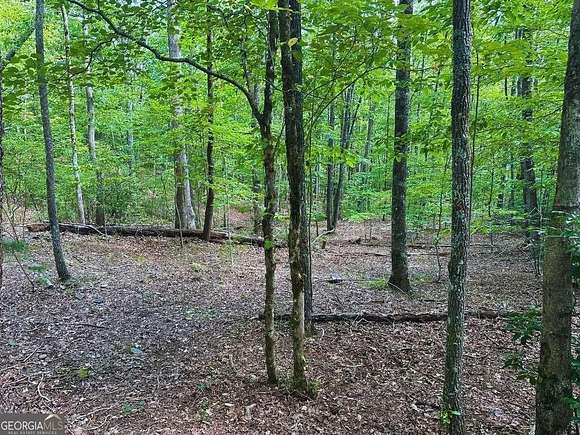 0.9 Acres of Residential Land for Sale in Young Harris, Georgia