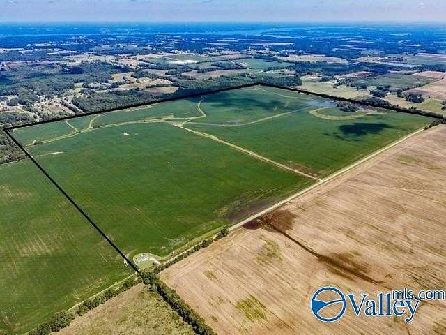 480 Acres of Agricultural Land for Sale in Leighton, Alabama