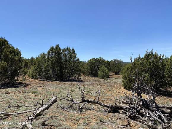 1.11 Acres of Residential Land for Sale in Concho, Arizona