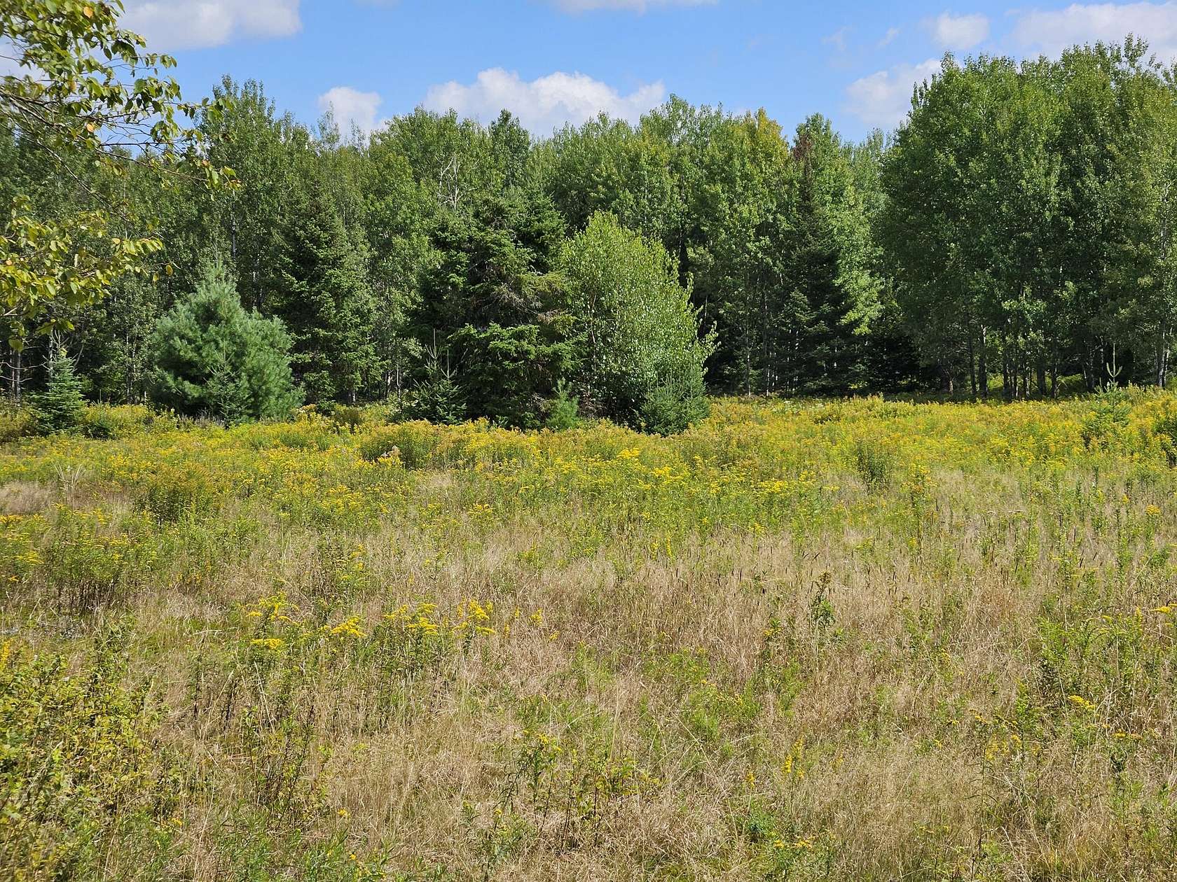 41.42 Acres of Agricultural Land for Sale in Merrillsville, New York